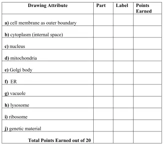 Table 3.7 Scoring Scheme for ‘Draw a Cell’ Task  