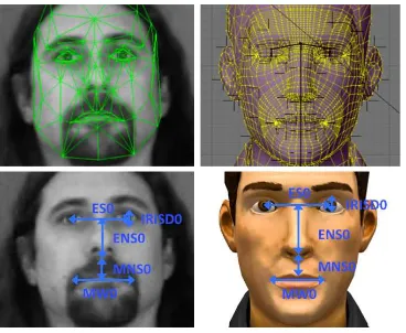 Figure 3: MPEG-4 facial features and scaling factors on thehuman signer in Visage (left) and the avatar (right).