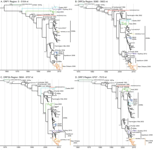 FIG 6 Bayesian time-scaled phylogenies of the NoV GII.4 genome. Bayesian time-scaled phylogenies of the ORF1 (A), ORF2a (B), ORF2b (C), and ORF3 (D)regions from the alignment of NoV GII.4 strains used in the 3SEQ recombination analysis (n � 89) are shown