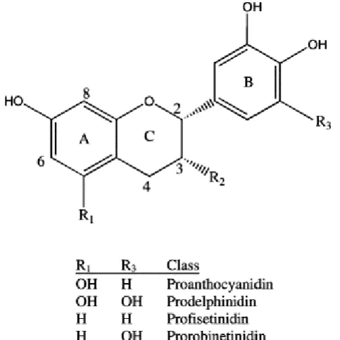 Figure 2.1 The basic repeating unit in condensed tannins. The structure is that for (-)-epicatechin