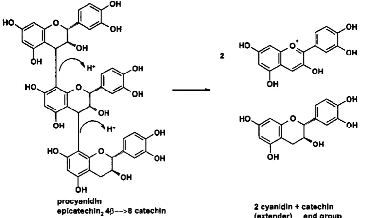 Figure 2.2 Model structure for condensed tannin. If R = H or OH then the structure represents a procyanidin or prodelphinidin