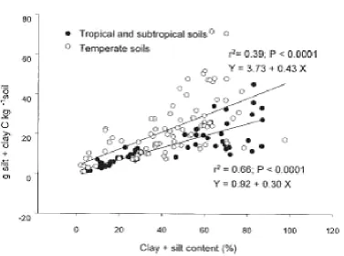 Fig. 1.4. Relationship between silt+clay sized C and silt+clay content of temperate and  tropical soils