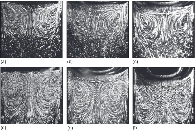FIG. 4. Superposed particle images for 20 subsequent periods at ffree surface, = 10 Hz, (a) liquid-wall interface, ϵ = 0.08, α = 8.5, (b) ϵ = 0.08, α = 8.5, (c) free surface, ϵ = 0.08, lower viscosity (α = 12.3), (d) liquid-wall interface, ϵ = 0.3, α =8.5, (e) free surface, ϵ = 0.3, α = 8.5, (f) free surface, ϵ = 0.3, lower viscosity (α = 12.3).