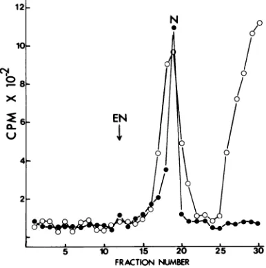 FIG. 3.Samplesnucleocapsidsrepresents Electron micrographs of purified GV enveloped nucleocapsids and nucleocapsids