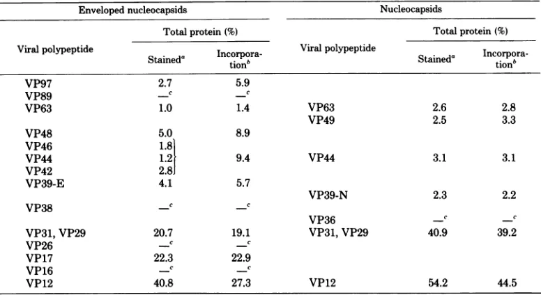 TABLE 2. Protein composition of GV enveloped nucleocapsids and nucleocapsids