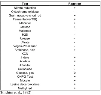 Table 3:  Biochemical and physiological behavior of E. coli 