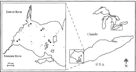 Figure 1.1 Location of sampling sites in the western basin of Lake Erie, sampled during June-September 2009
