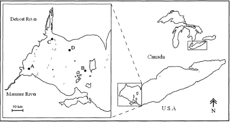 Figure 2.1 Location of sampling sites in the western basin of Lake Erie, sampled during June-September 2009