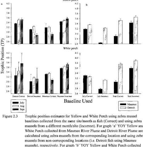 Figure 2.3 Trophic position estimates for Yellow and White Perch using zebra mussel baselines collected from the same site/month as fish (Correct) and using zebra 