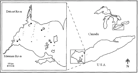 Figure 3.2 Location of sampling sites in the western basin of Lake Erie, sampled during June-September 2009