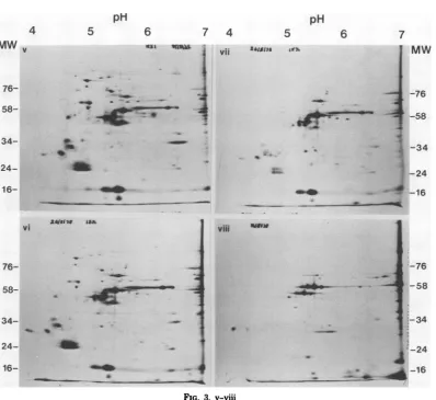 FIG. 3. v-Vini