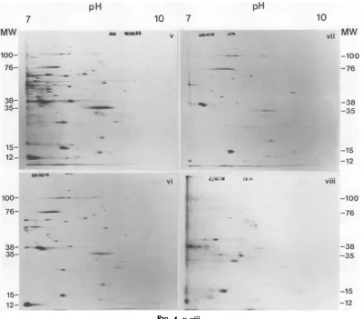 FIG. 4. v-vuii