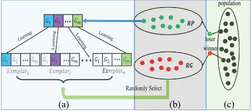 Fig. 1.Visual framework of SPLSO containing three parts. (a) SL. (b) PL.(c) Particle competition.