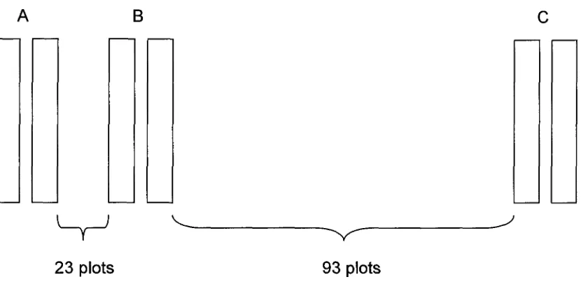 Figure 2-4. Field set-up for each pair of plots A, B, and C for the summer 2008 