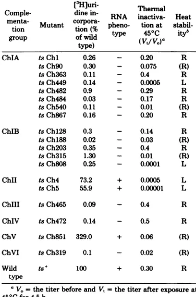 TABLE 2. Effect of temperature shift onintracellular RNA synthesis