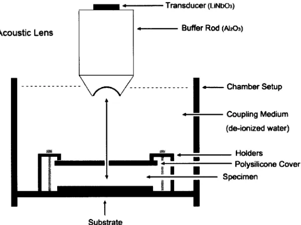 Fig. 1: An appropriate acoustic lens must be selected considering its penetration depth in a specimen Schematic diagram of the experimental setup for the SAM (Pulse-Wave Mode)