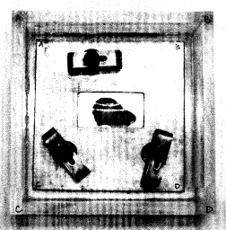 Fig. 4: Setup of the specimen in the chamber. 