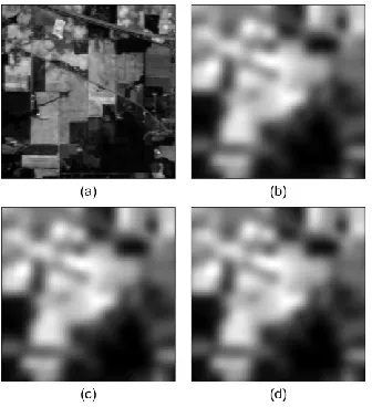 Fig. 7.  Application of 2D-SSA to a scene in HSI. (a) Original scene at 667 nm (b) conventional 2D-SSA implementation (c) F-2D-SSA mean-based implementation (d) F-2D-SSA median-based implementation, where L2D=10×10 and EVG=1st