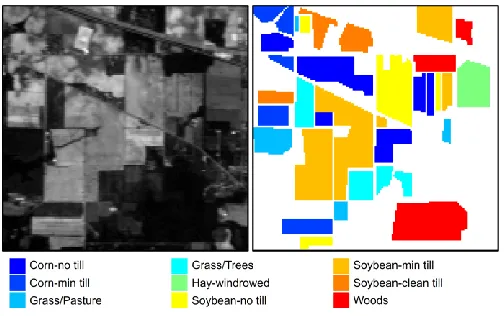 Fig. 4.  One band image at the wavelength of 667 nm (left) and the ground truth map (right) for the 92AV3C data set