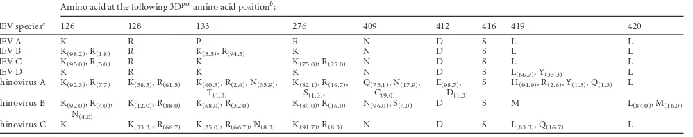 TABLE 5 Picornavirus 3Dpol amino acids involved in the polyadenylation of viral RNA