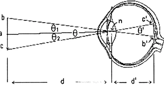 Figure 4. The calculation of visual angle (9) is dependent on the distance of the stimuli from the eye (d), the distance from the fixation point (a) to the outermost part of the stimuli (Kaiser, 2009)