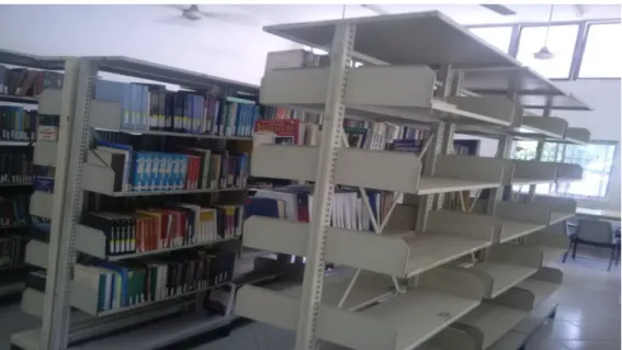 Figure 4.1: A Section of IAE Library   