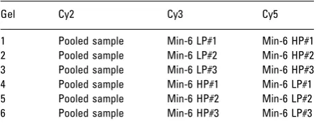 Table 1. Experimental design incorporating three independentbiological samples, technical replicates, and reverselabelinga)