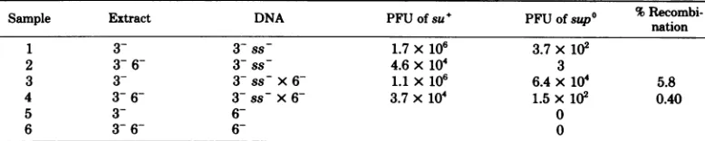 TABLE 2. Effect ofgene 6 exonuclease on recombinationa
