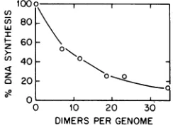 Fig. 2,ferquency. would cause a lower recombination fre- To gain information regarding the trans- of pyrimidine dimers by recombination, the