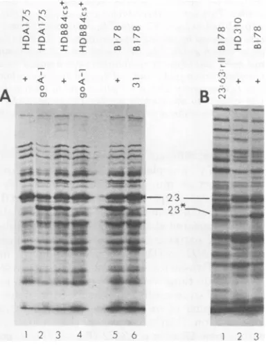 TABLE 3. In vitro complementation with extracts ofT4+-infected HD strainsa