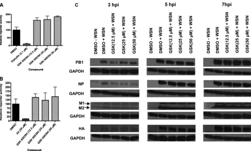FIG 2 GSK 650394 does not inhibit inﬂuenza virus entry, polymerase activity, or expression of viral proteins