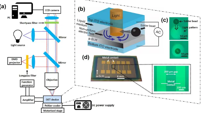 Fig. 1. (a) Schematic experimental setup. (b) 3D schematic of the OET device. (c) Microscopeimages of a solder microsphere attracted to the illuminated region under positive DEP force.(d) Image of the bottom OET electrode with six pairs of isolated metal c