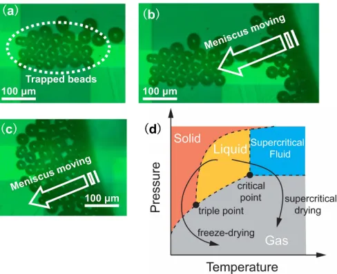Fig. 3. (a) Trapped solder beads in OET device. (b)&(c) Trapped solder beads were draggedaway by meniscus during the process of evaporating the solution