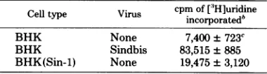 TABLE 2. Labeling ofBHK and BHK(Sin-1) cellswith [IH]uridinea