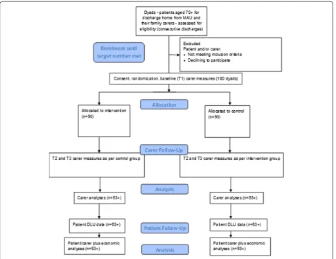 Fig. 2 Modified consort diagram to illustrate trial study flow and participant numbers