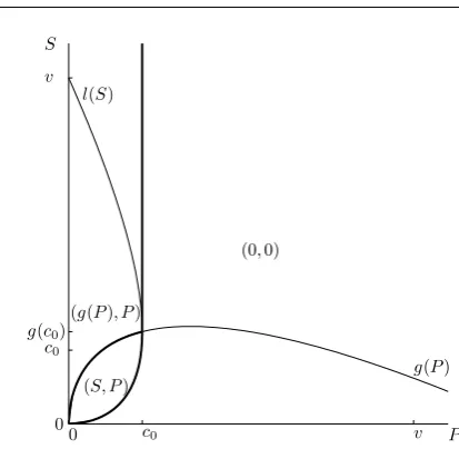 Fig. 7: Different types of equilibria for α = 0.8, ﬁxed v and varying S and P. Thebold lines are the boundaries of the regions where types of the equilibrium typeschange