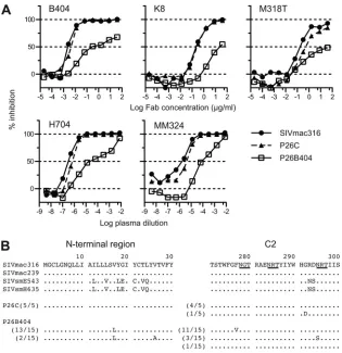 FIG 6 Isolation of variants resistant to B404 and amino acid substitutions in gp120. The B404-resistant variant was induced from SIVmac316 by passages ofviruses in PM-1/CCR5 cells with increasing concentrations of B404 Fab