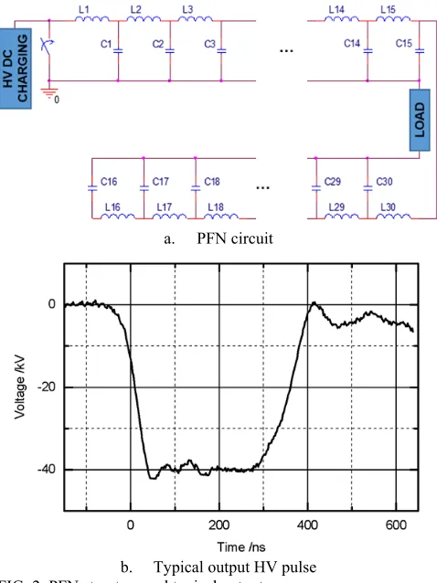 FIG. 2. PFN structure and typical output.  