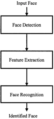 Figure 1.1: 