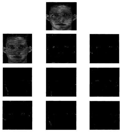 Figure 5.4: Curvelet transform of faces: first image is the original image, first image in 