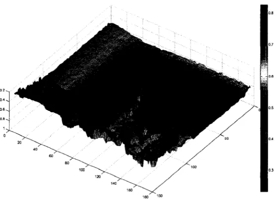 Figure 4.1: Depth and gray-scale intensity outputs of a TOF sensor 