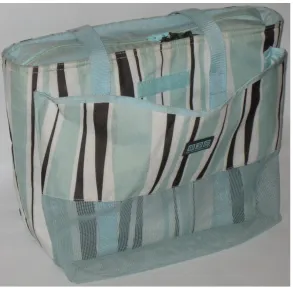 Figure 4.3 – The Outdoor Plus cooler bag 