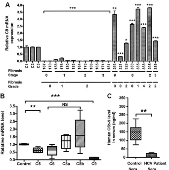 FIG 1 Repression of C9 mRNA by HCV. (A) Real-time PCR analysis for C9 mRNA expression in 12 chronically HCV genotype 1a-infected liver biopsyspecimens (no