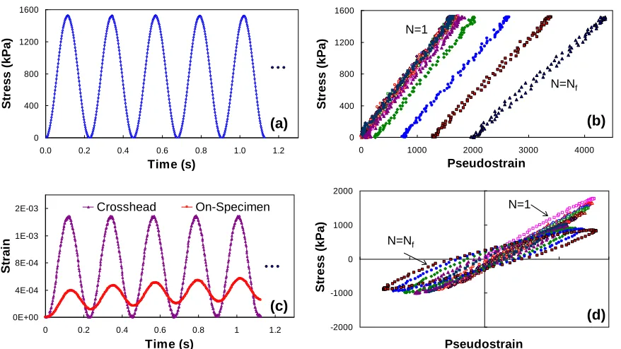 Figure 3. Typical input and responses for: a) controlled-stress (CS) uniaxial cyclic test (input vs
