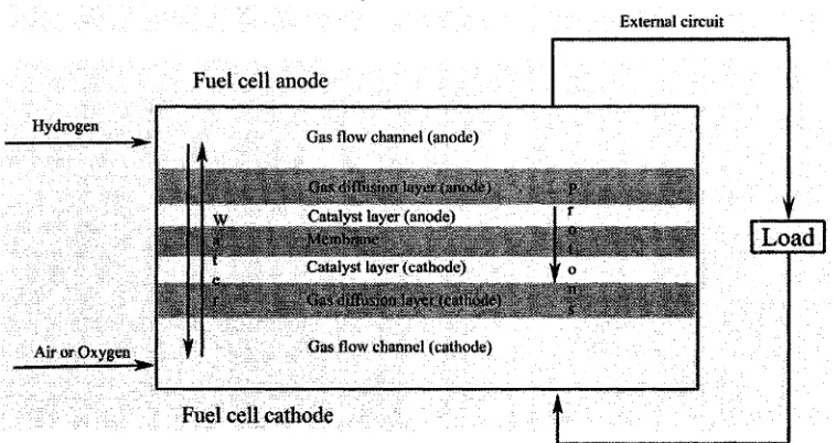 Fig. 1. Schematic of PEM fuel cell operation.