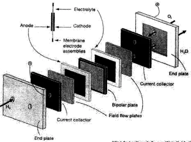 Fig. 2. PEM fuel cell structure [4].