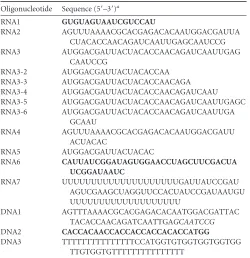TABLE 2 List of oligonucleotides