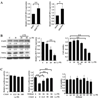 FIG 4 FASN activity is required for HCV replication. (A) Cellular RNAs from the indicated cells (left) or mock- or JC1-Luc2A HCVcc-infected Huh7.5.1 cellsindicated dose of palmitate for 72 h (center)