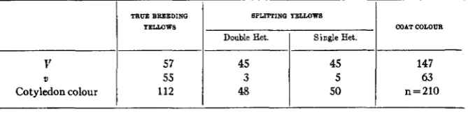 TABLE 6 