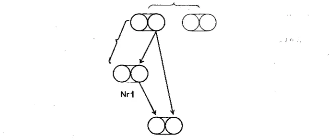 FIGURE 1.-Marriage circles 